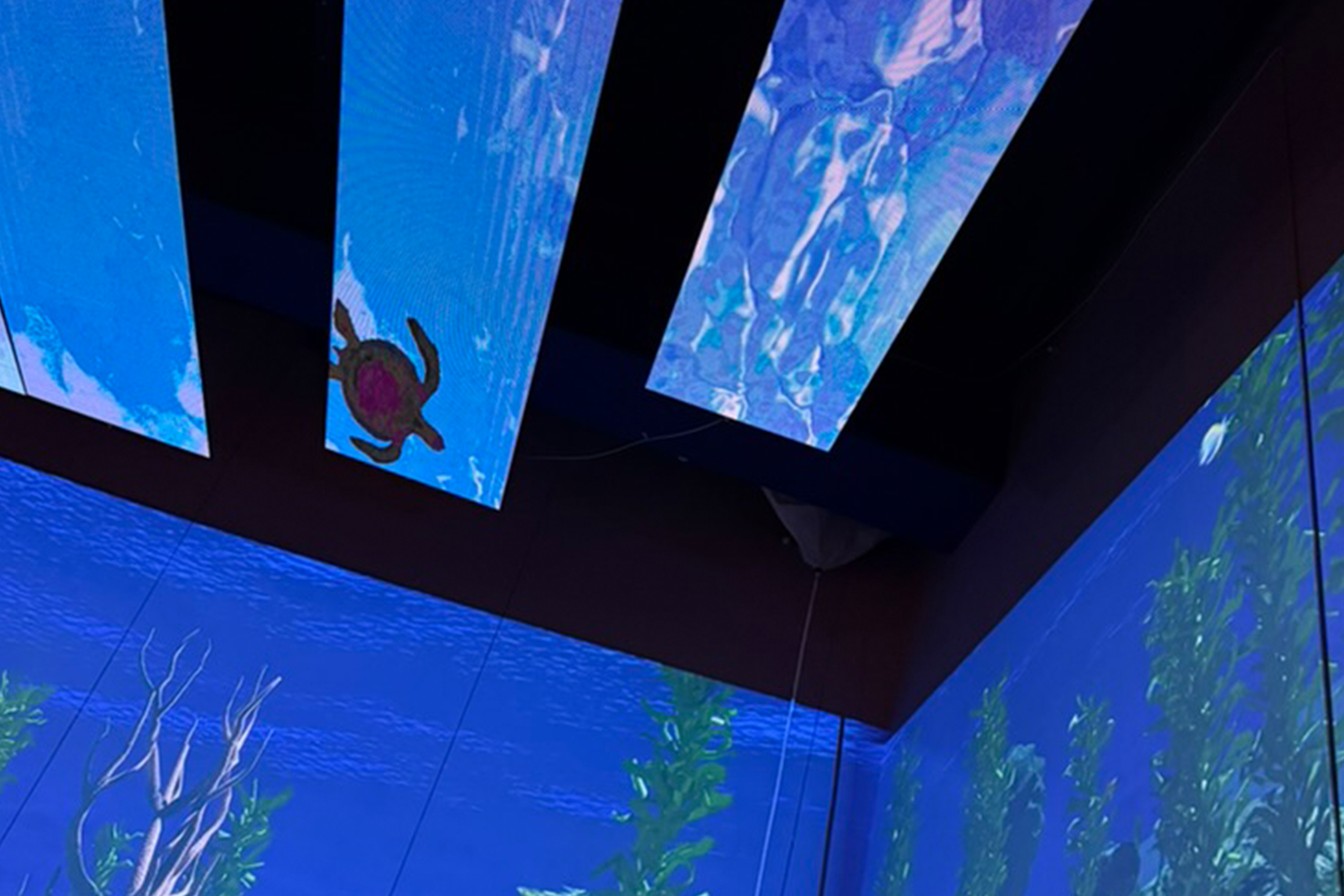 Digital, semi-transparent ceiling tiles wrap the environment from the wall to the ceiling creating deeper immersion.